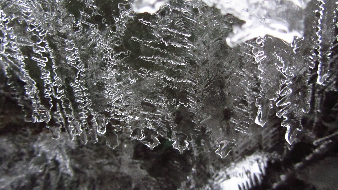 nature  ice  crystal free photo