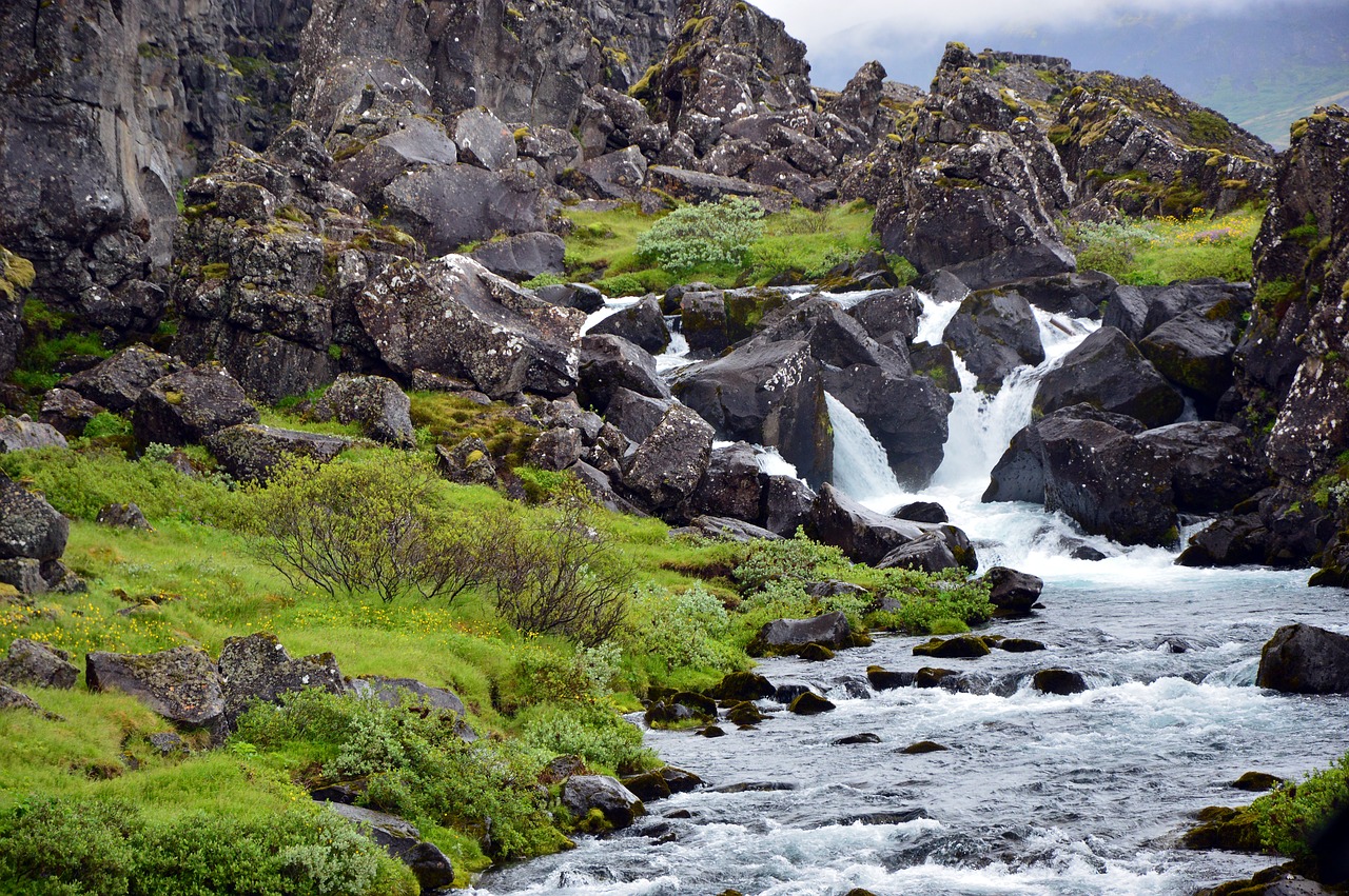 nature  landscape  waterfall free photo