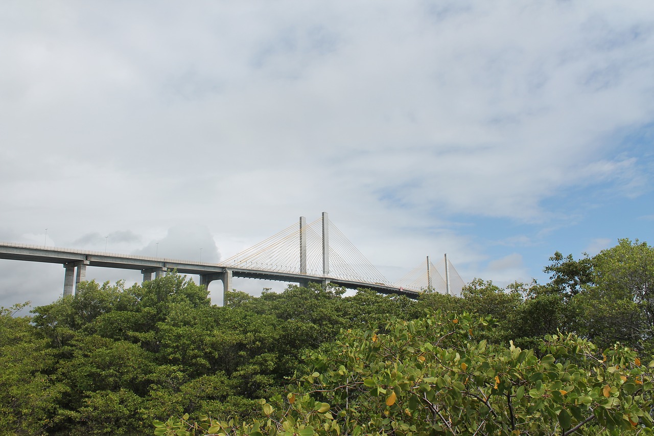 nature  christmas  bridge free photo