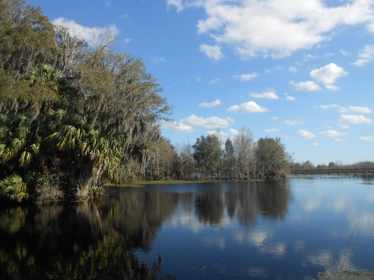 nature  natural  river free photo