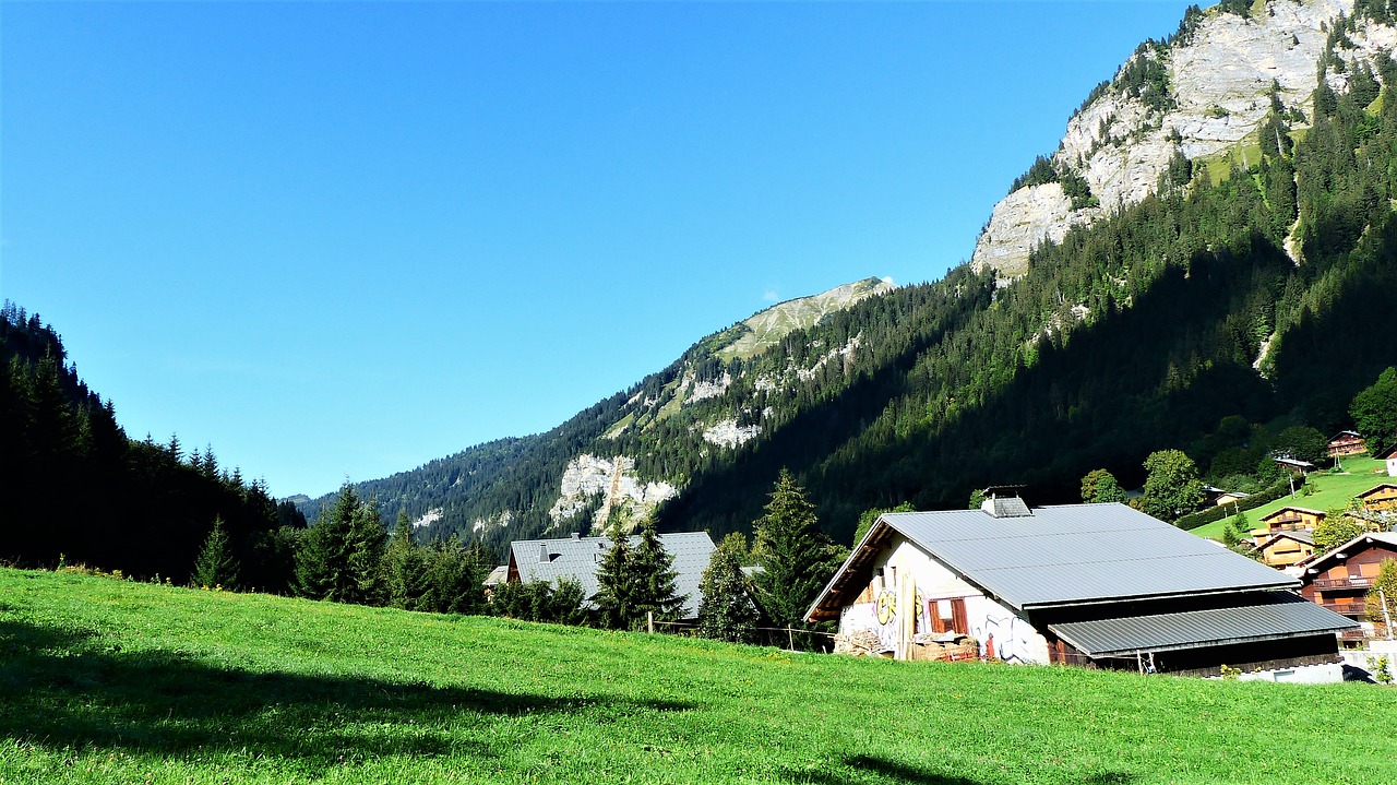 nature  landscape  alpine free photo