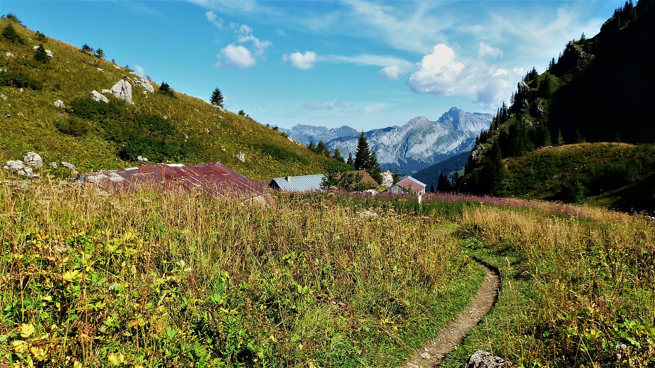 nature  alpine  farm free photo