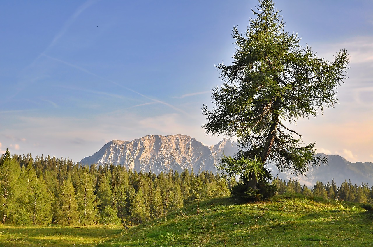 nature  landscape  mountains free photo