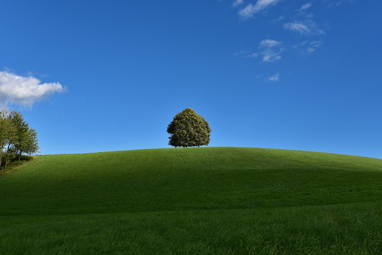 nature  landscape  sky free photo