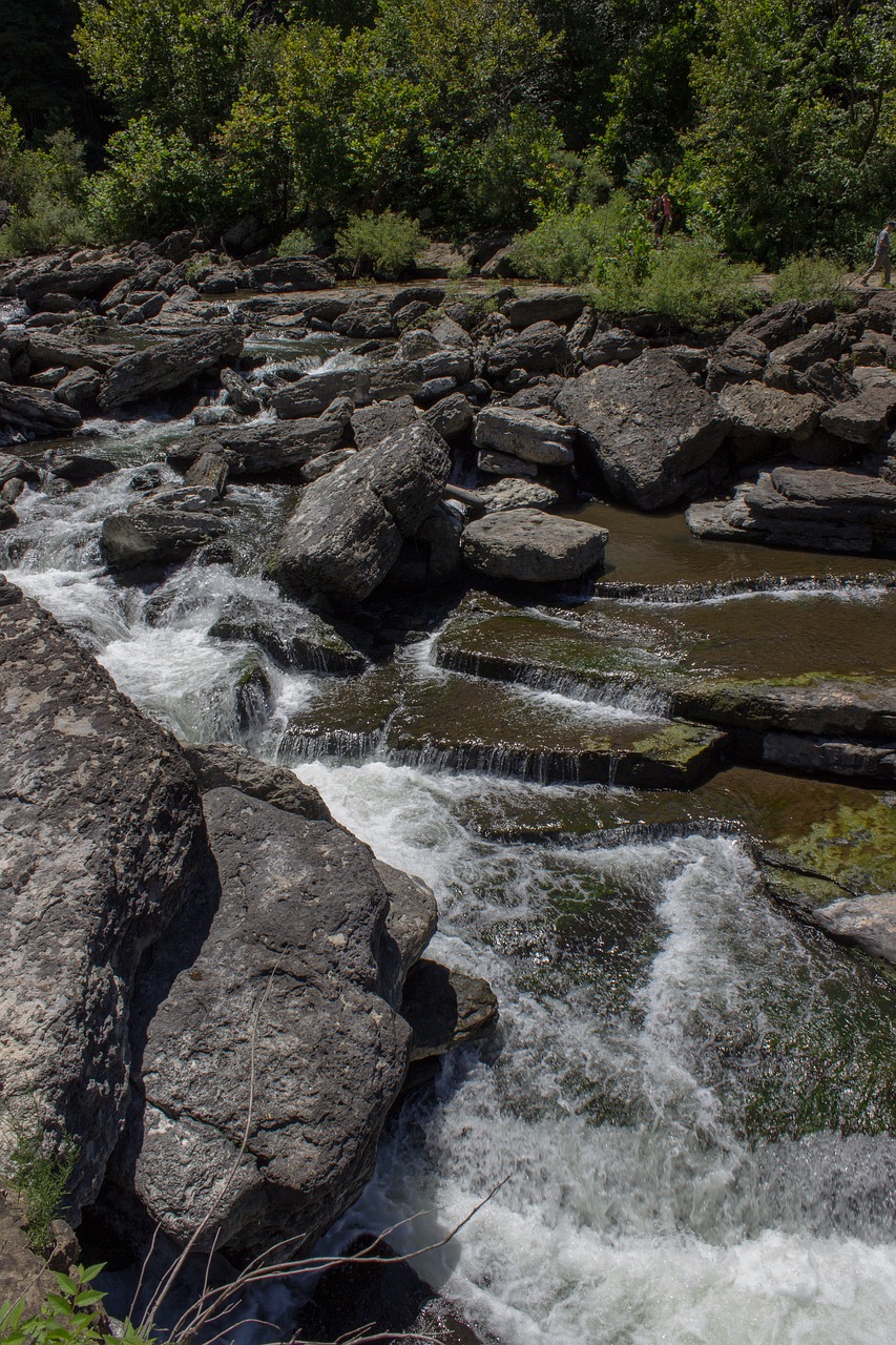 nature  river  b free photo