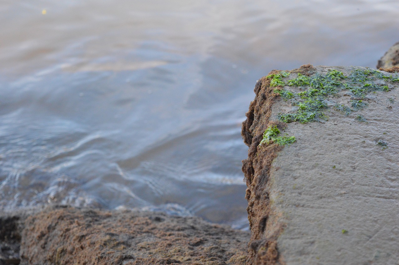 nature  stone  water free photo