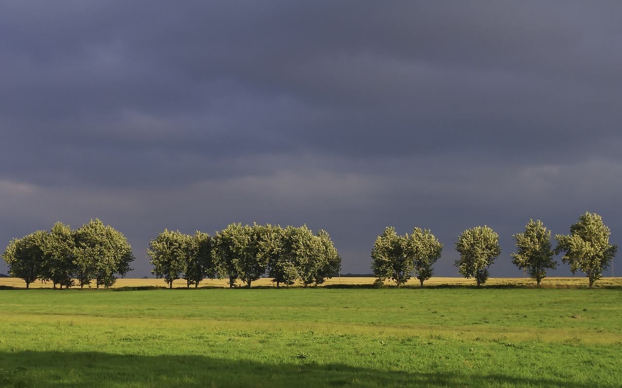 nature  landscape  sky free photo