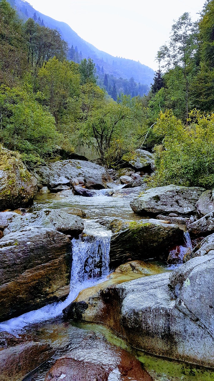 nature  waterfall  water free photo