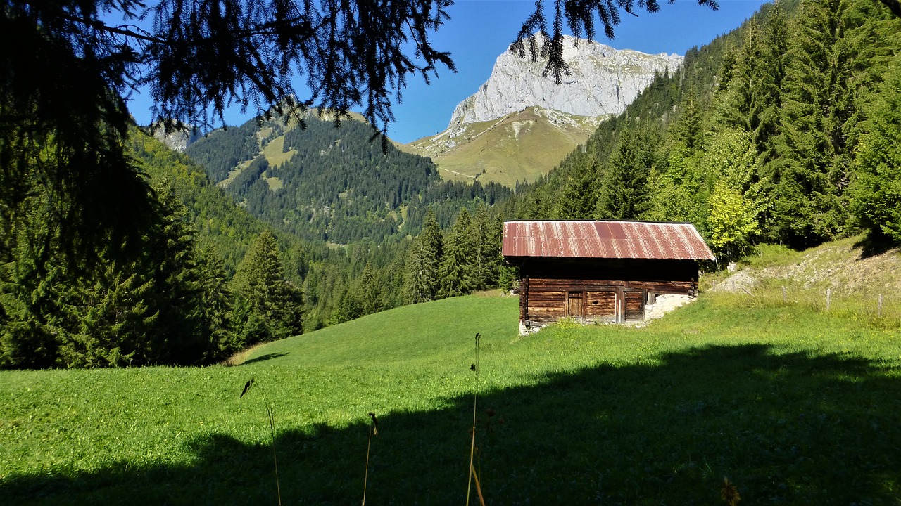 nature  meadow  grange free photo