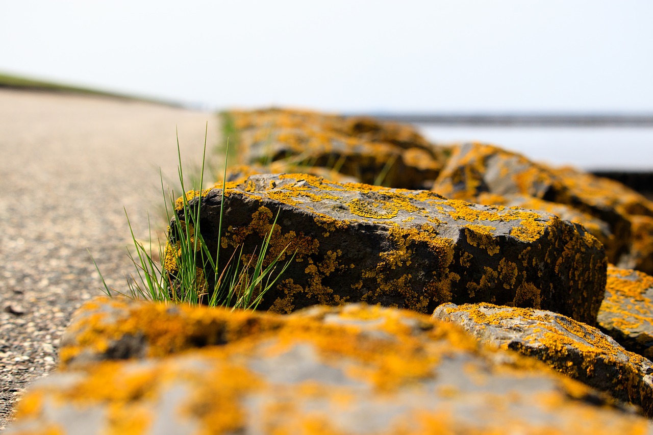 nature  landscape  stones free photo