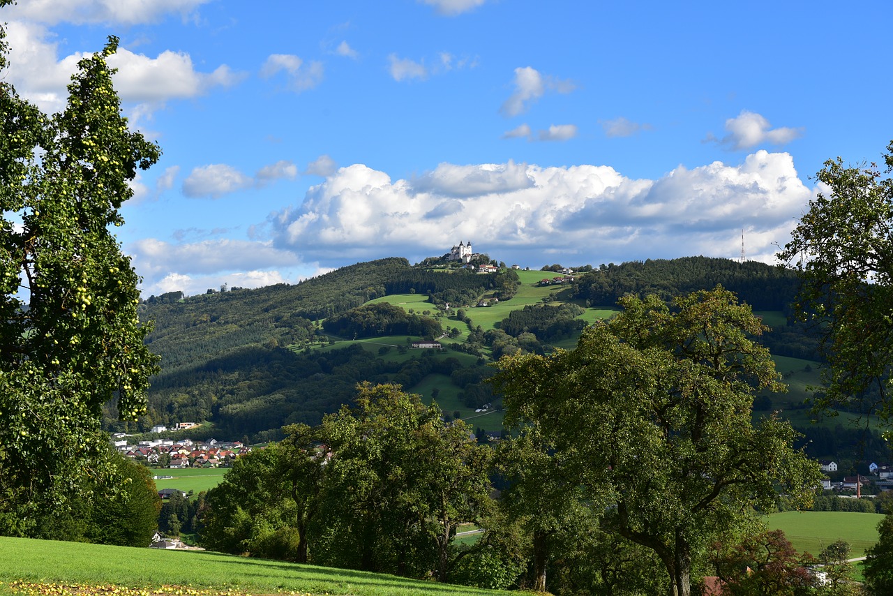 nature  landscape  autumn free photo