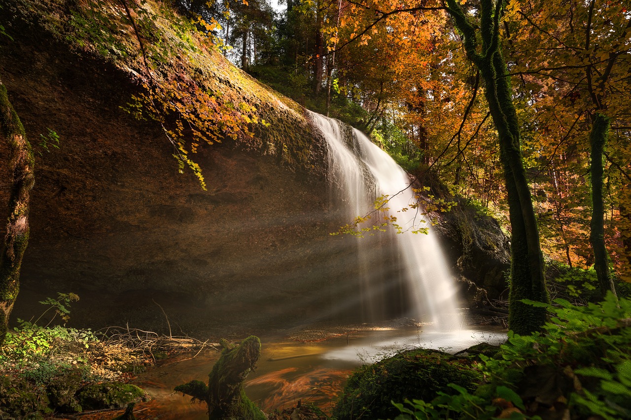 nature  autumn  waterfall free photo