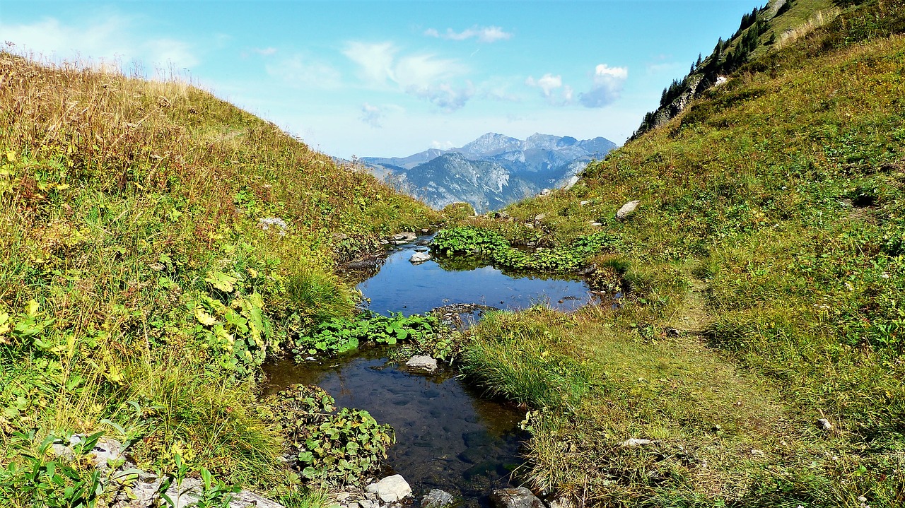 nature  landscape  alpine free photo