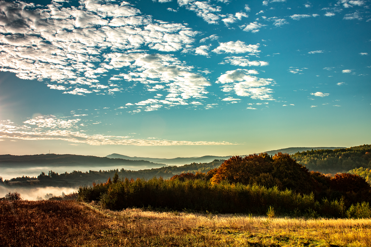 nature  landscape  scenery free photo