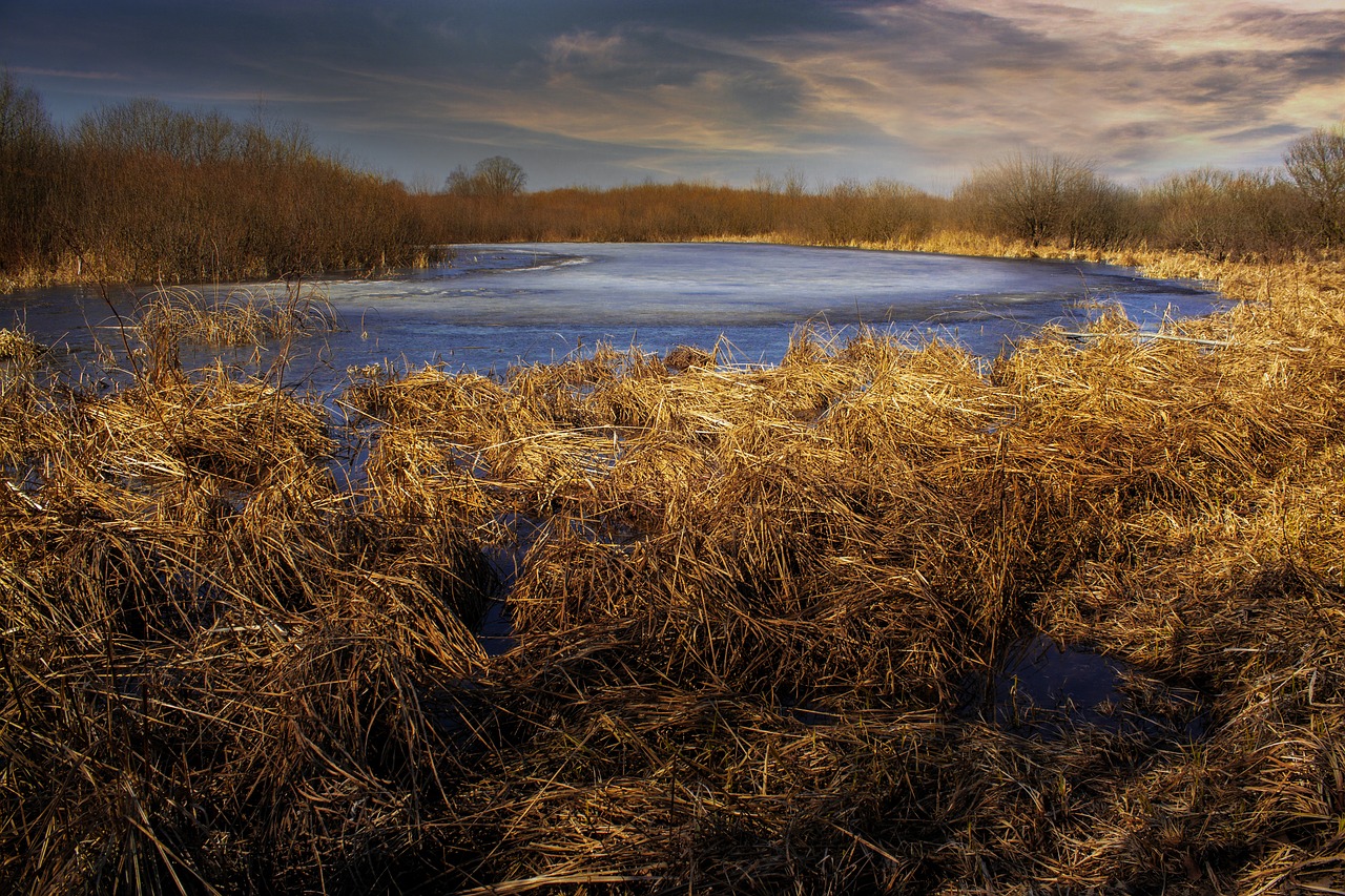 nature  landscape  spring free photo