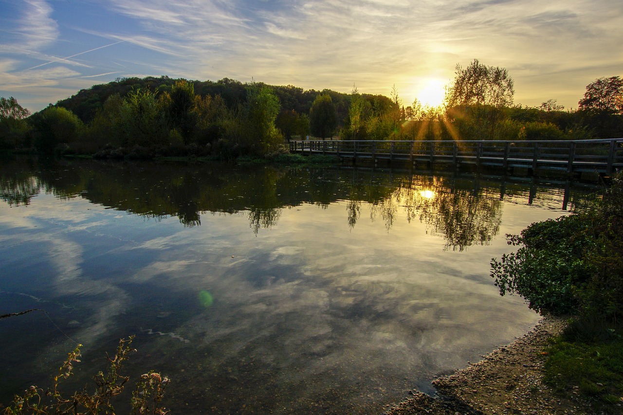 nature  landscape  autumn free photo