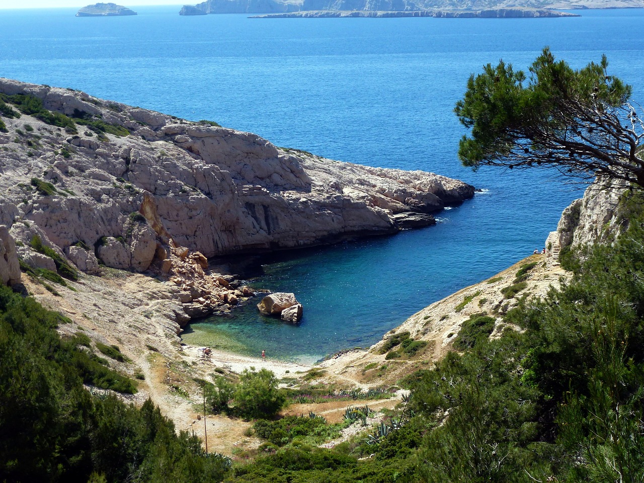 nature  cove  marseille free photo