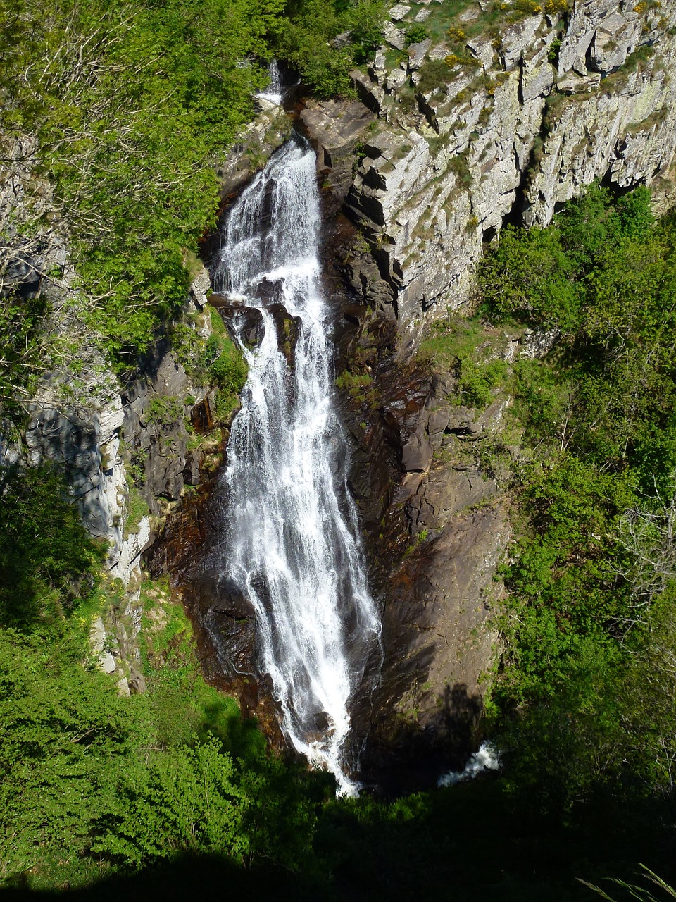 nature  cascade  mountain free photo