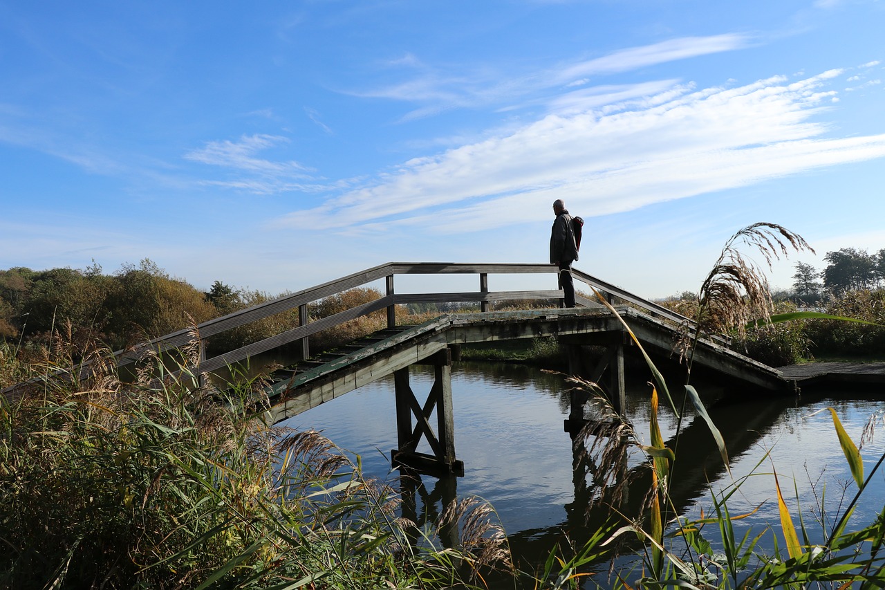 nature  landscape  water free photo