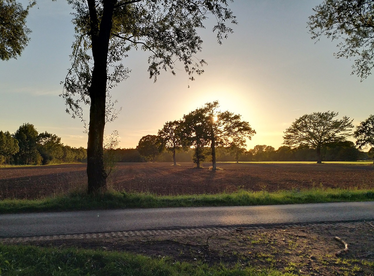 nature  sunset  in the evening free photo