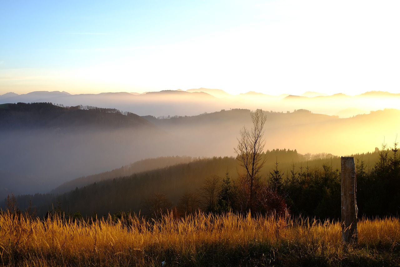 nature  landscape  autumn free photo