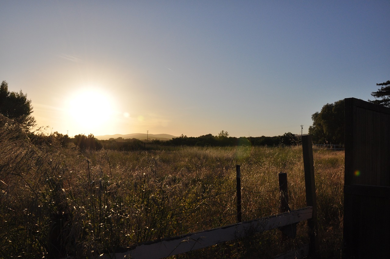 nature sunset outdoors free photo