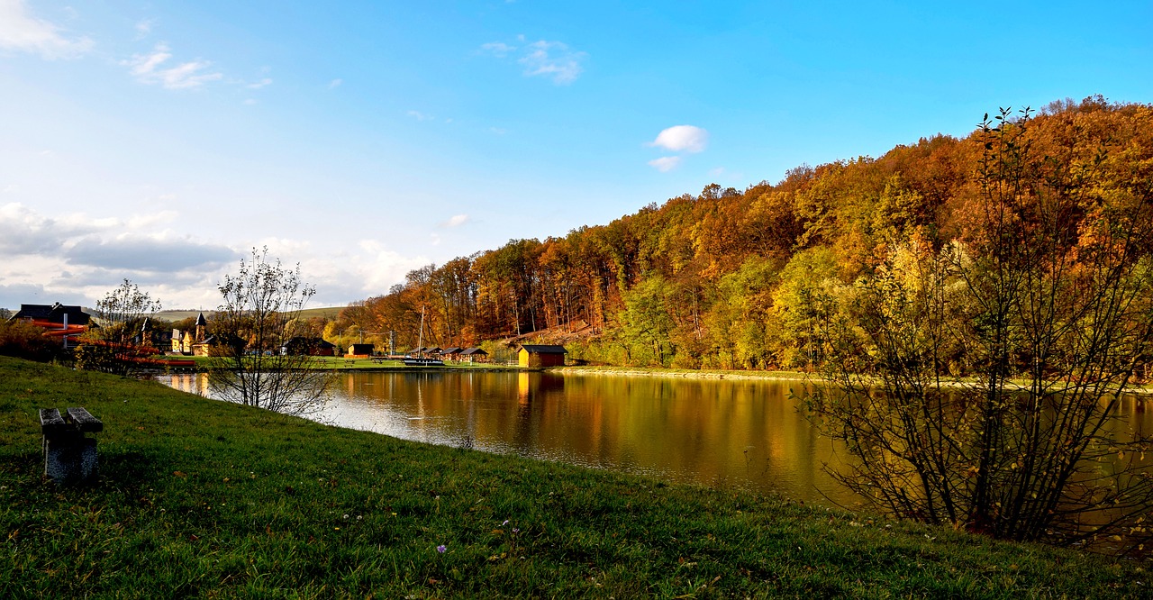 nature  country  autumn free photo