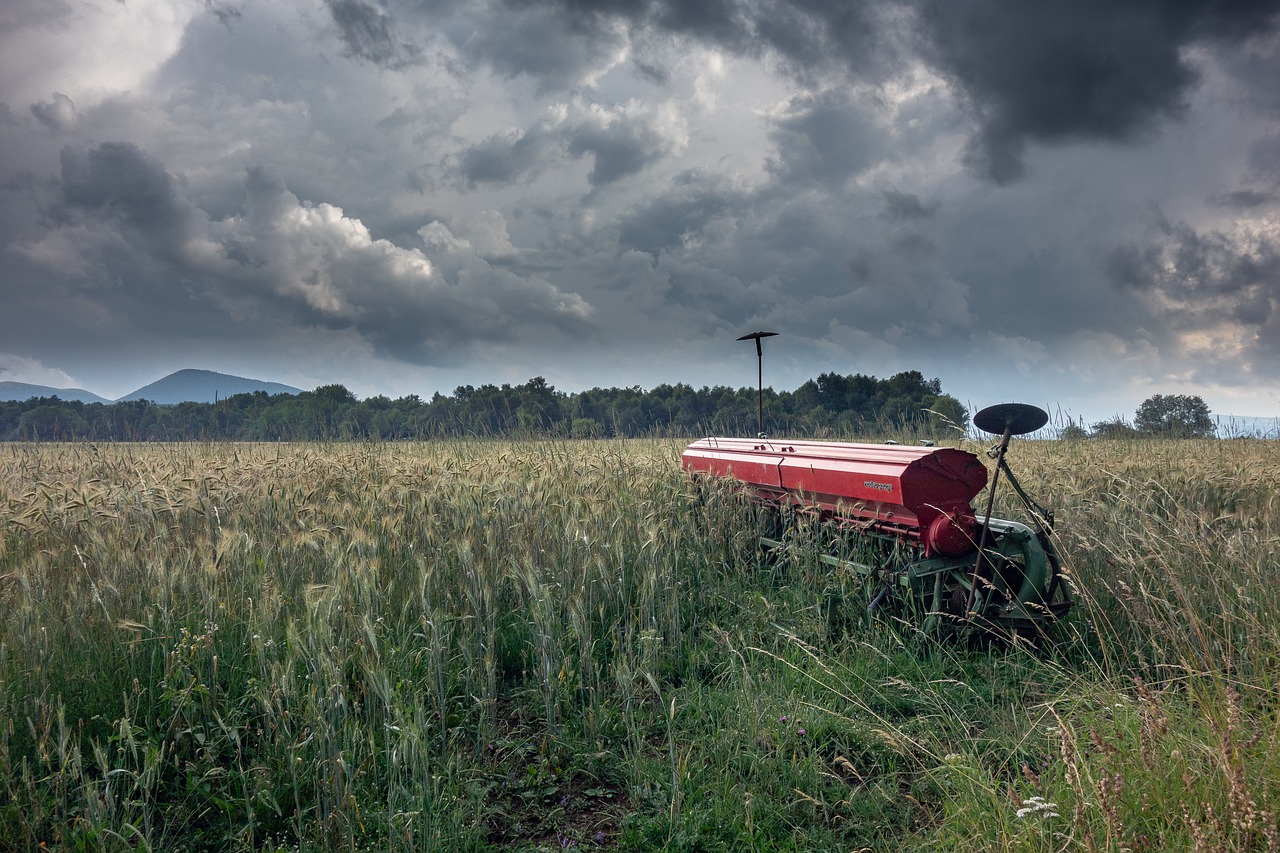 nature  auvergne  fields free photo