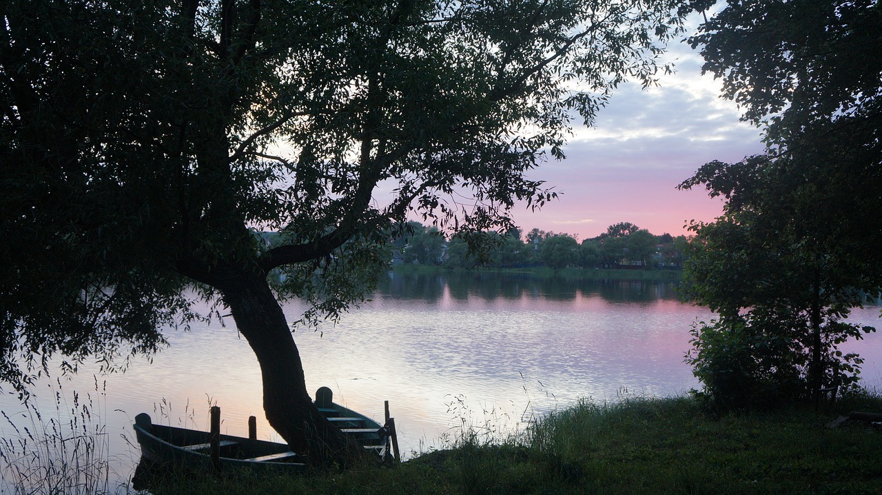 nature  lake  boat free photo