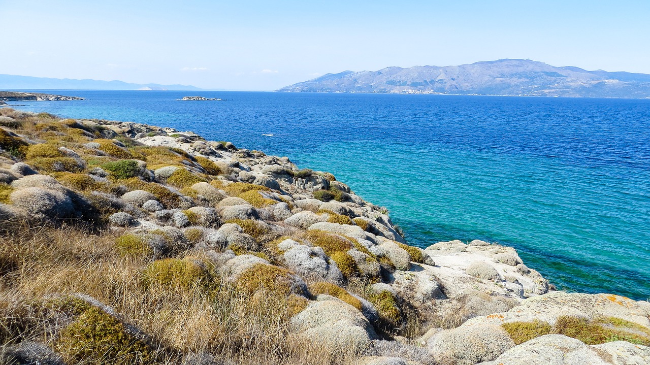 nature  sea  rock free photo