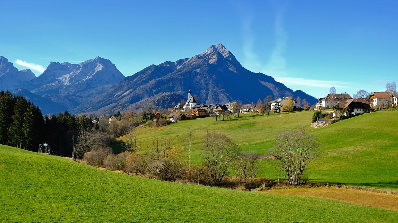 nature  landscape  autumn free photo