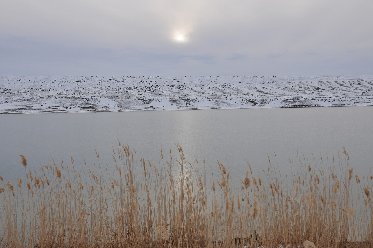 nature  winter  lake free photo