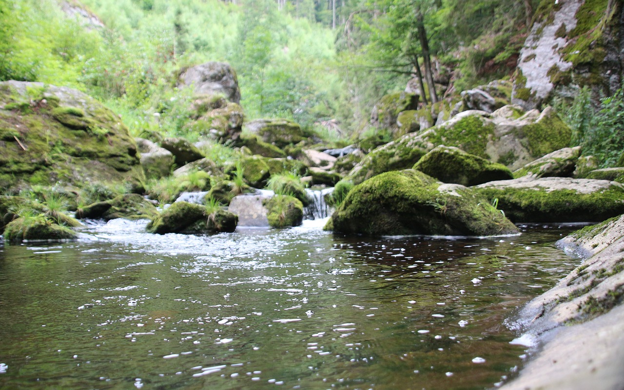 nature  water  wet free photo