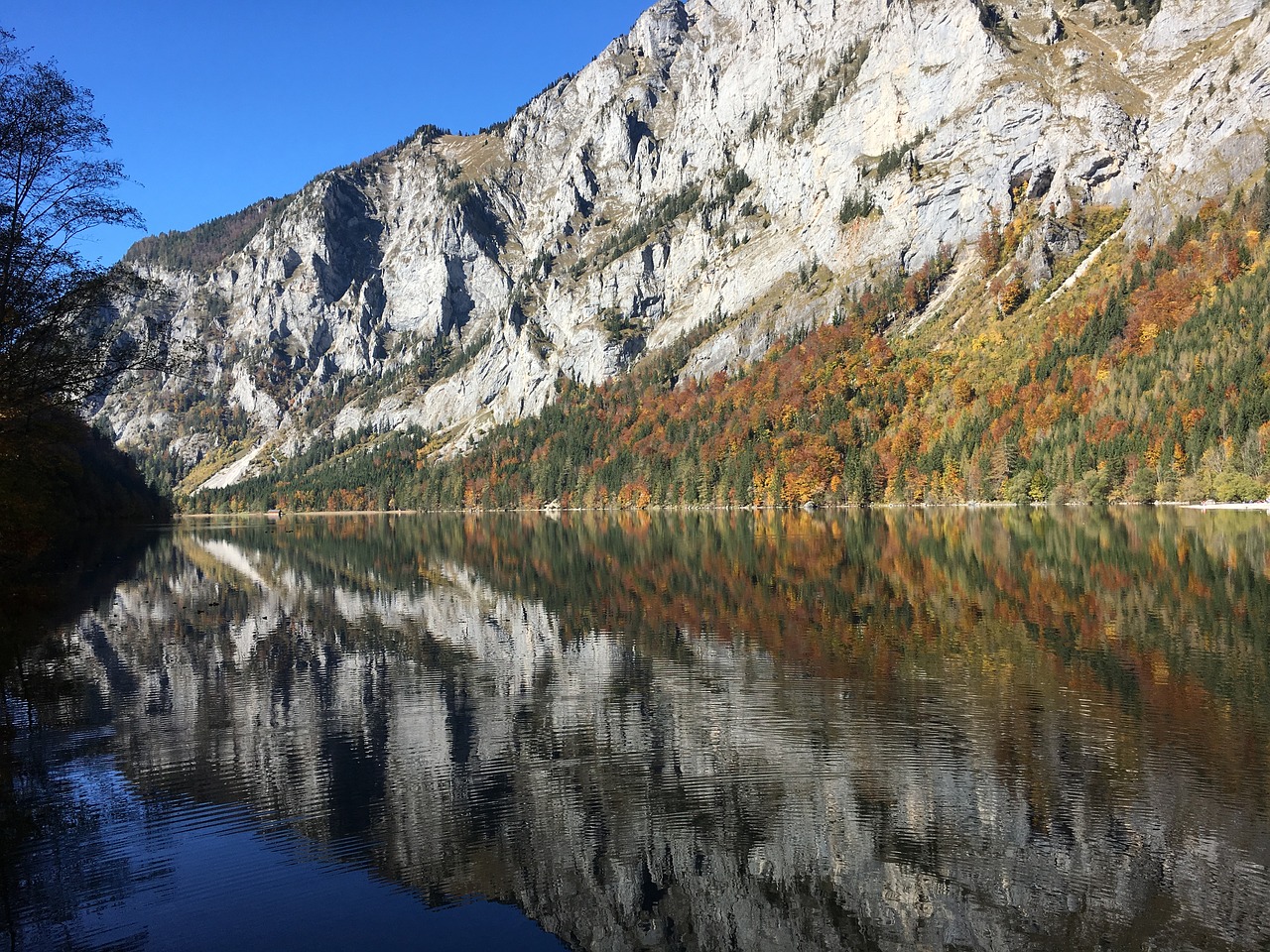 nature  lake  landscape free photo