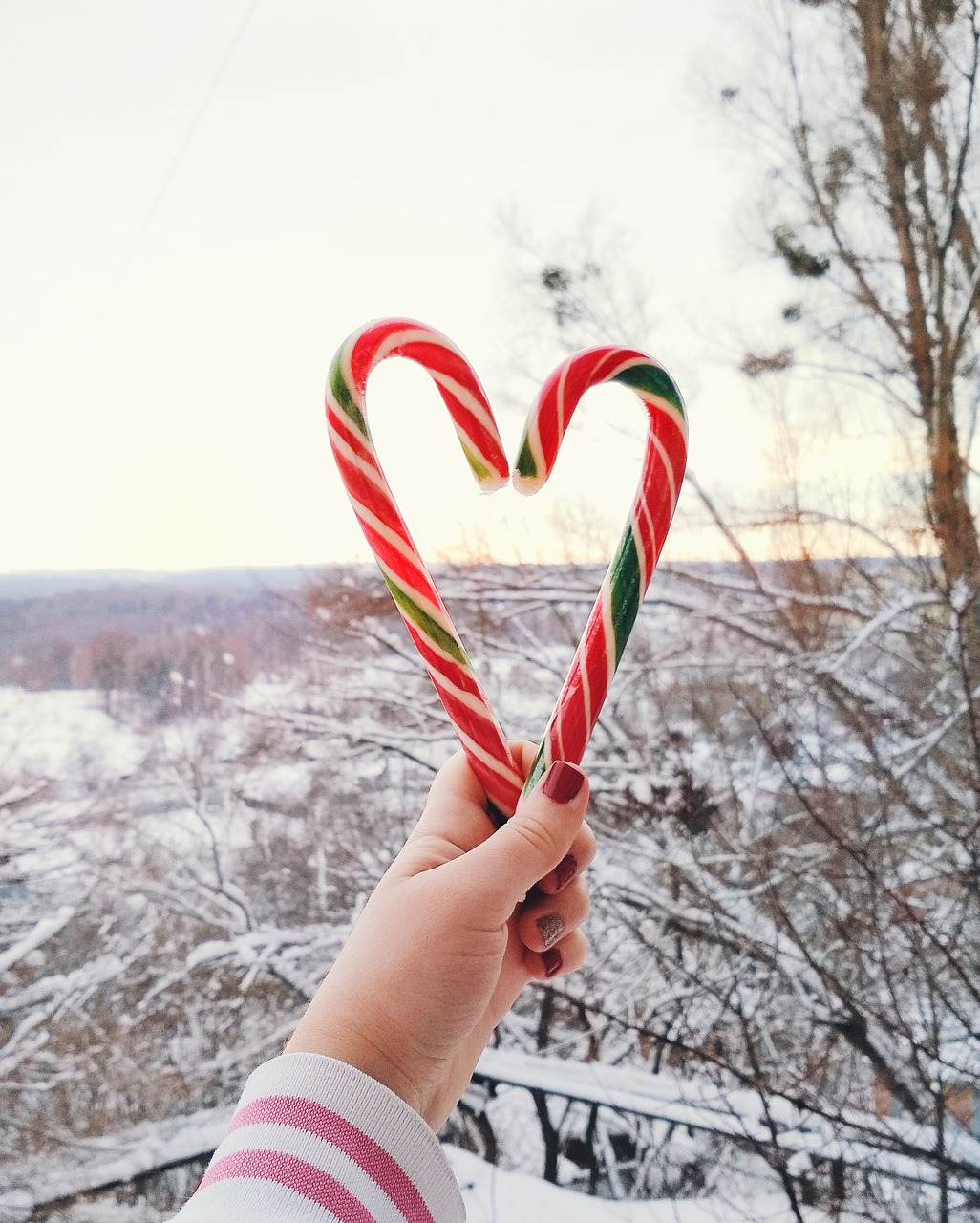 nature  candy  new year's eve free photo