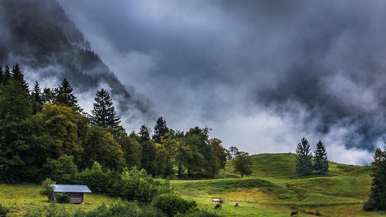 nature  landscape  fog free photo