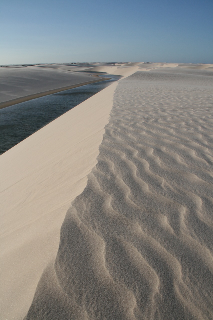 nature  dunes  sand free photo