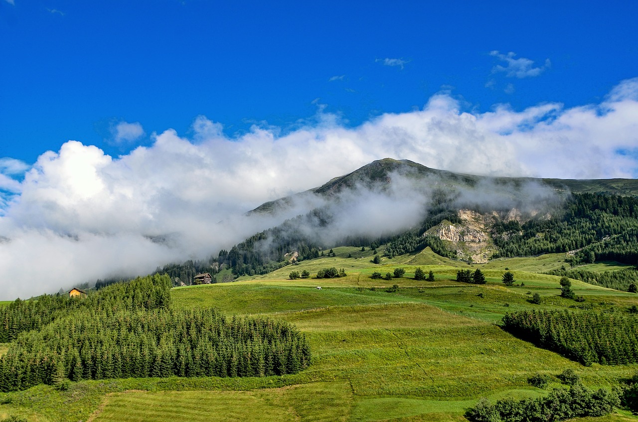 nature  mountain  fog free photo