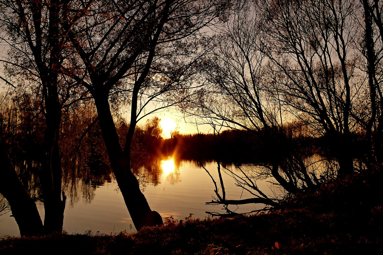 nature  country  lake free photo