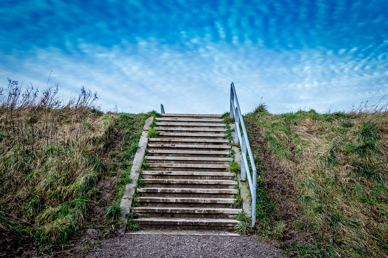 nature outdoor hiking free photo