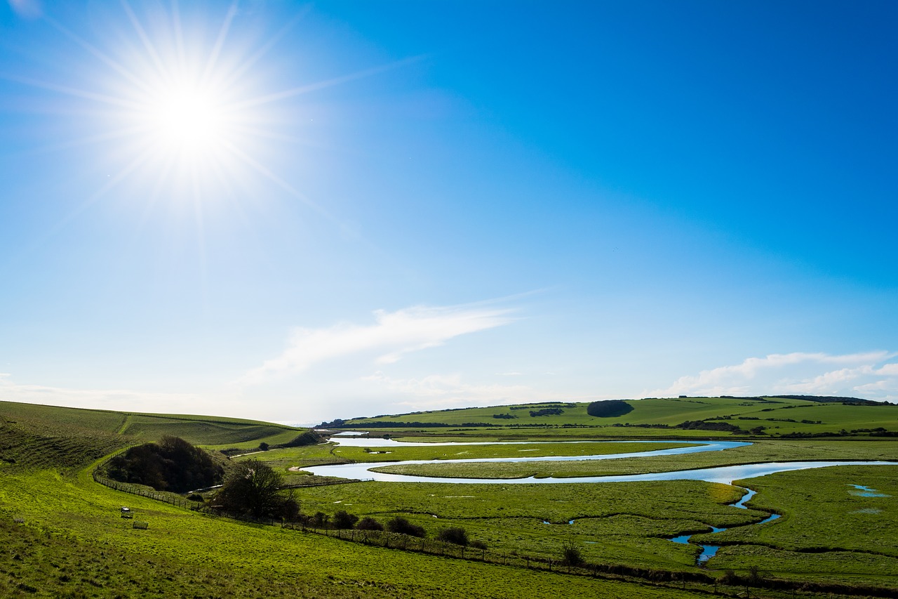 nature  sun  summer free photo