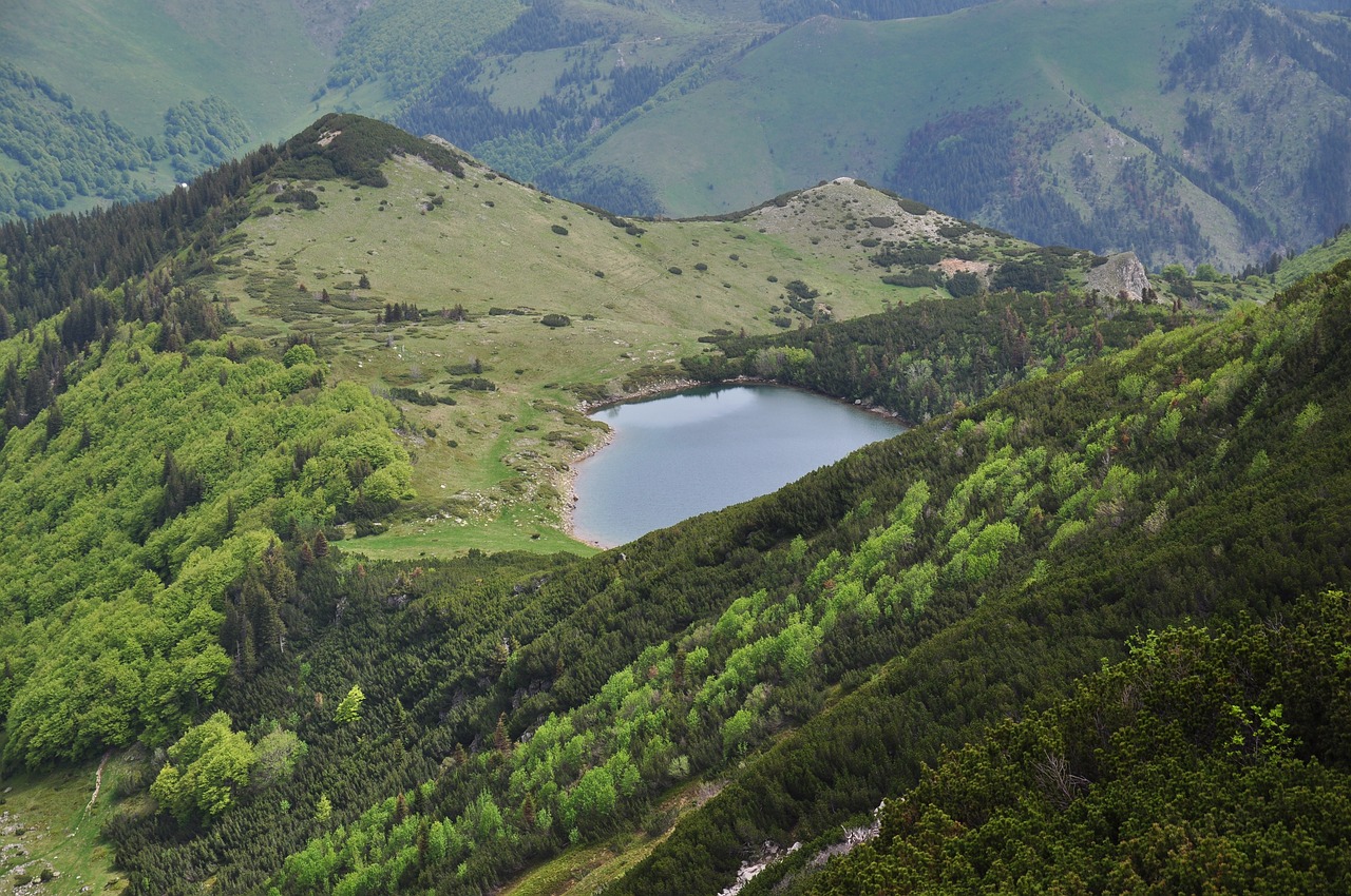 nature  lake  high free photo