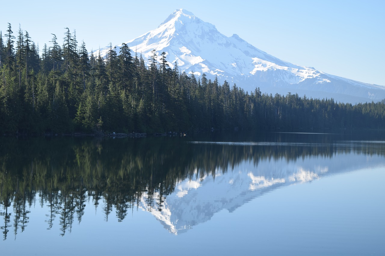 nature  lake  landscape free photo