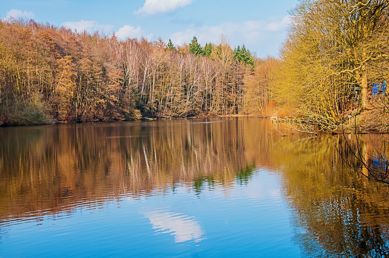 nature  lake  landscape free photo