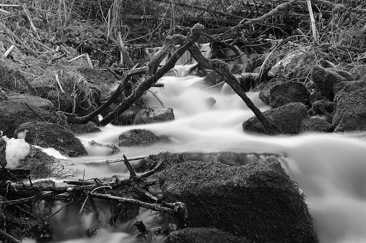 nature  water  waterfall free photo