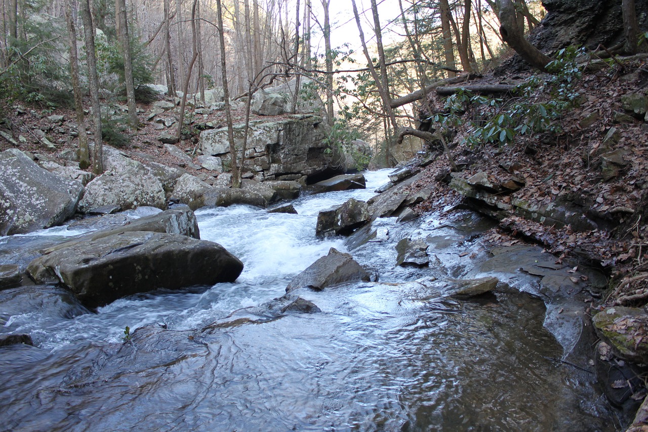 nature water rocks free photo