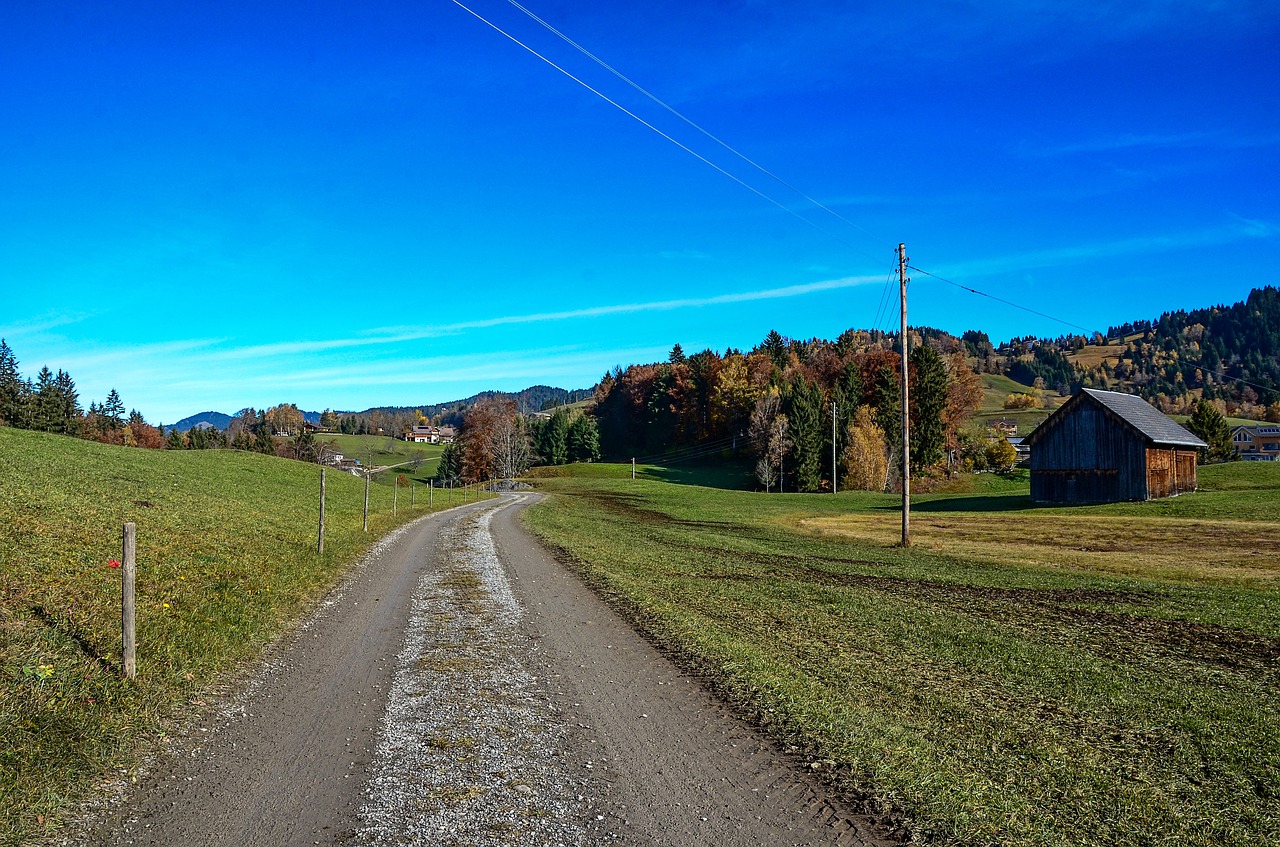 nature  landscape  green free photo