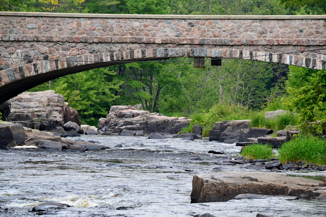 nature  river  water free photo