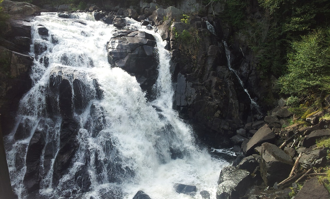 nature river current free photo