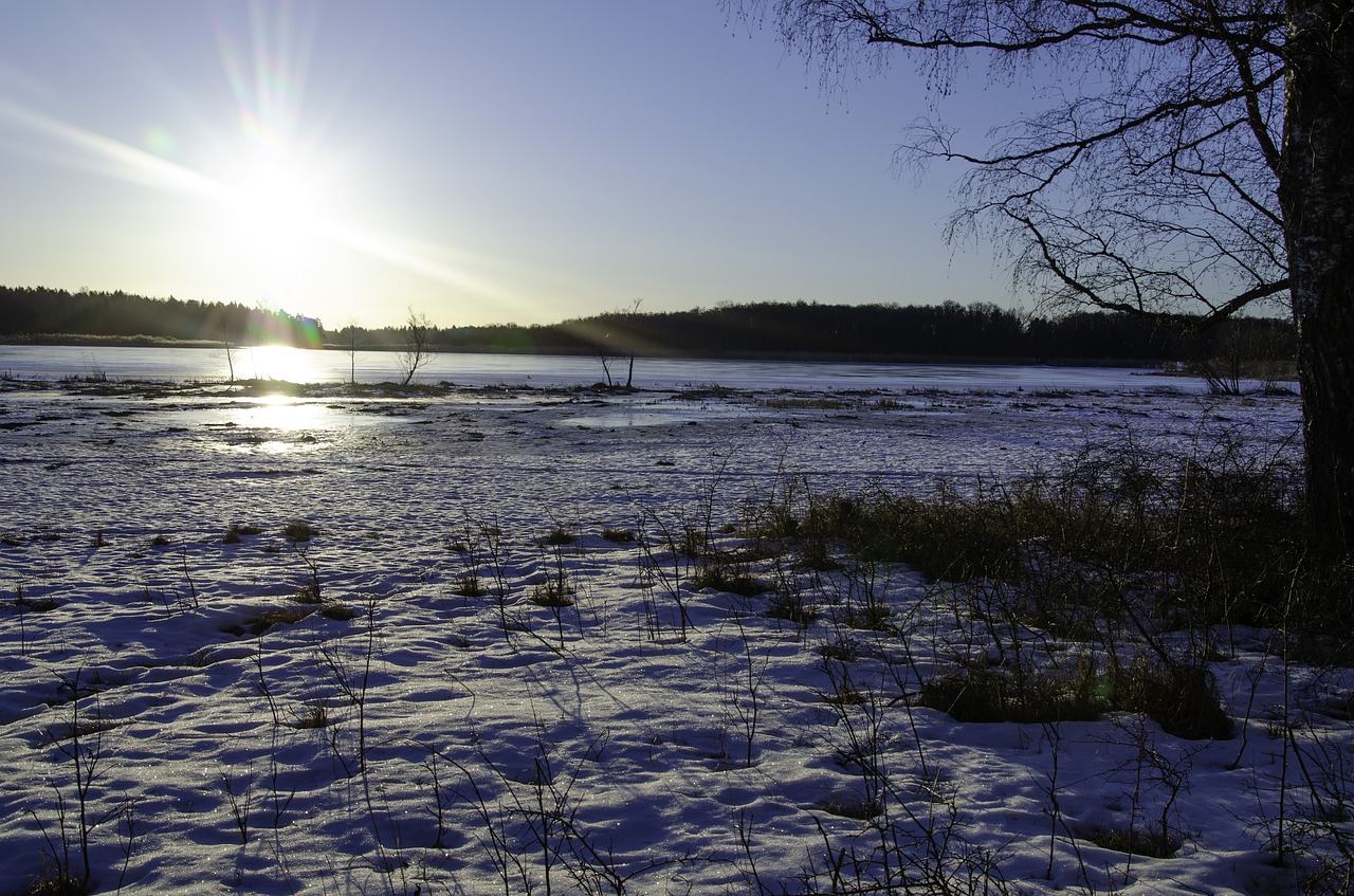 nature  snow  water free photo